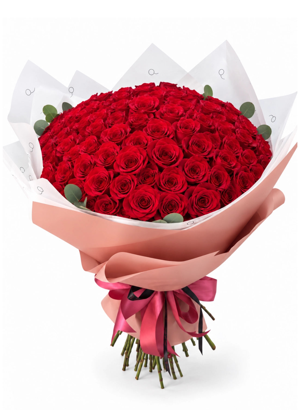 Bouquet da QRoses com 100 rosas vermelhas, envolvido em papel rosa e branco com fita da marca.