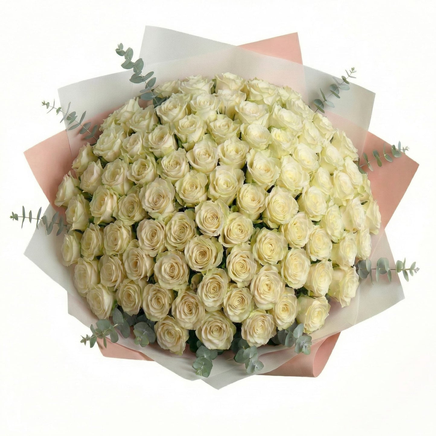 Ramo de Alta Gama de 100 Rosas Brancas