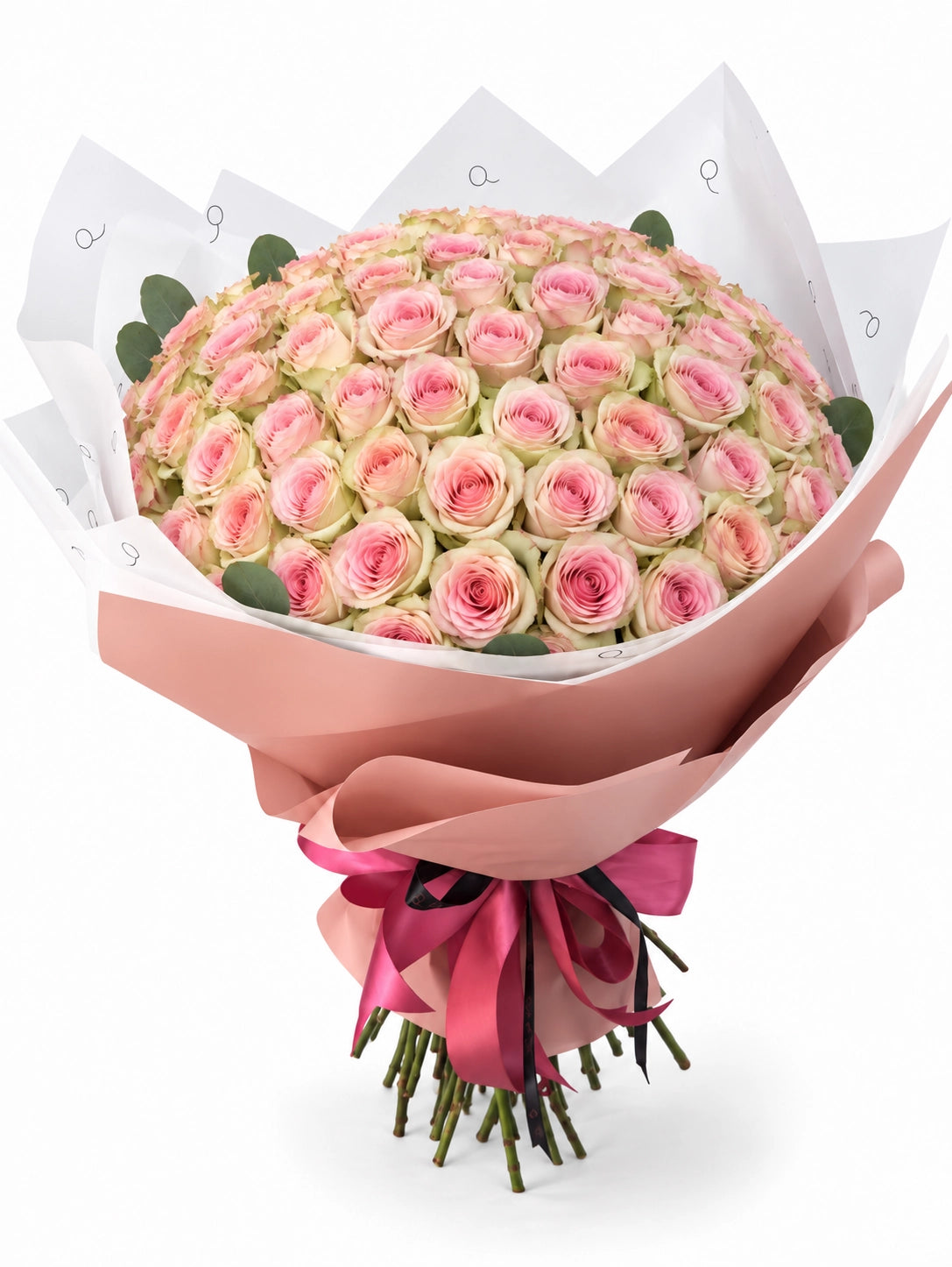 Bouquet da QRoses com 100 rosas rosa suave estilo Frutteto, com pétalas exteriores esverdeadas, envolvido em papel rosa e branco com fita da marca.