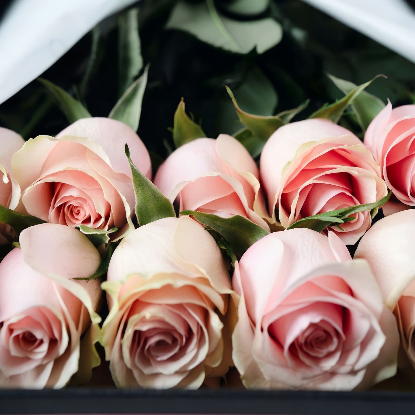 Caixa Premium de Rosas Cor-de-Rosa