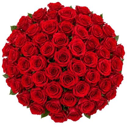Ramo Elegance 50 — Rosas Vermelhas