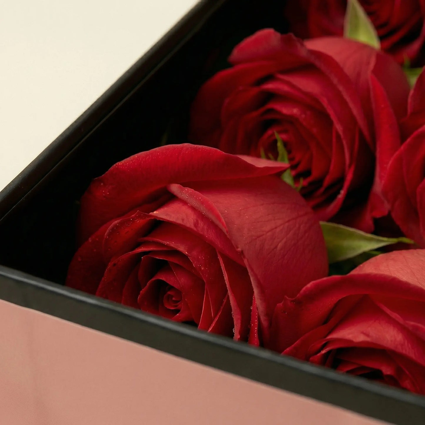 Close-up de rosas vermelhas premium na Flute Box QRoses com pétalas aveludadas e detalhe elegante.