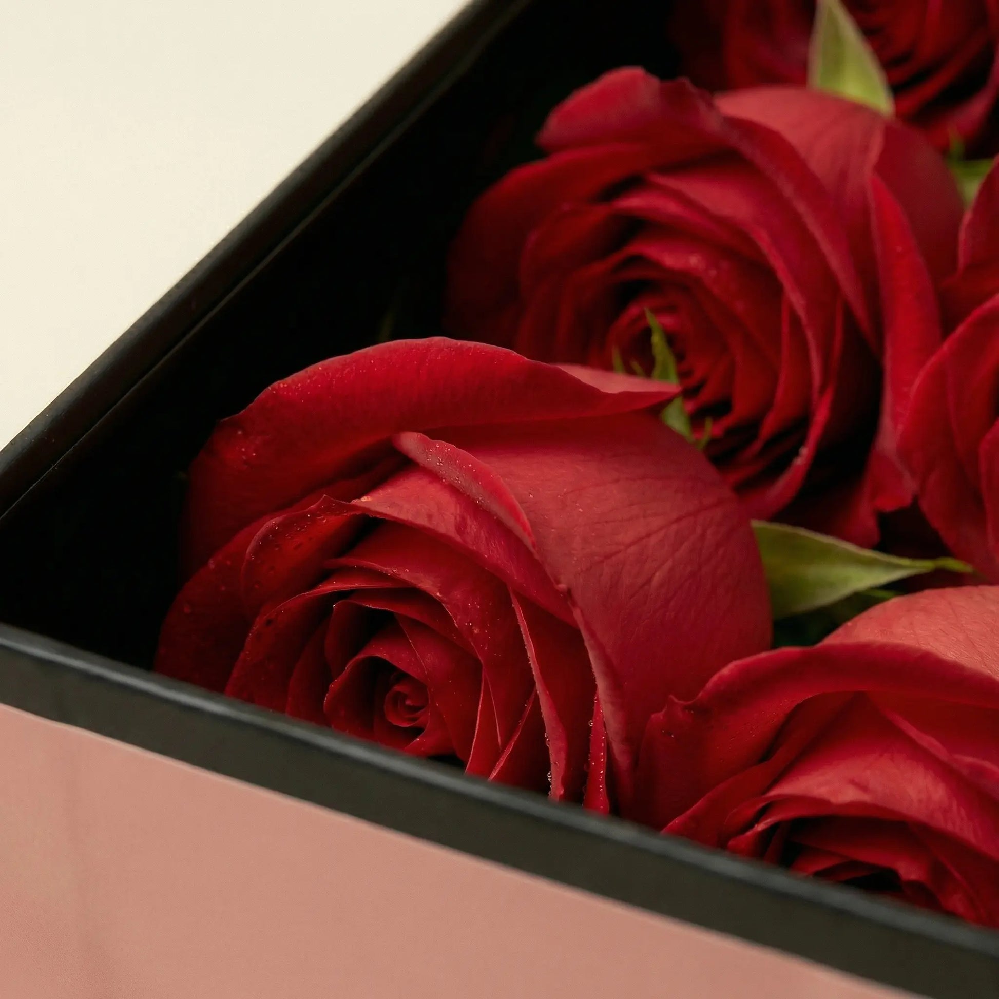 Close-up de rosas vermelhas premium na Flute Box QRoses com pétalas aveludadas e detalhe elegante.
