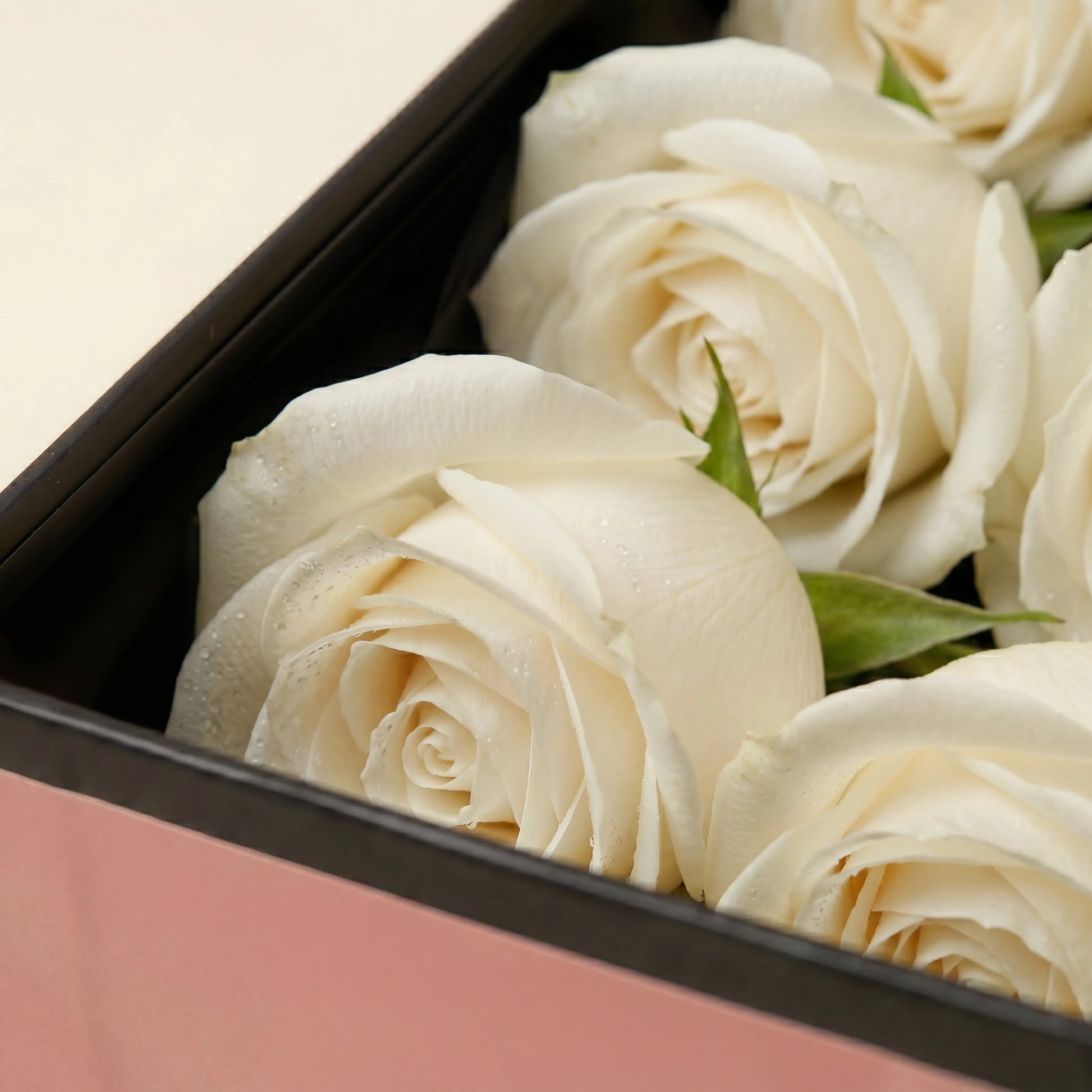Close-up de rosas brancas frescas no interior da Flute Box QRoses com acabamento premium elegante.