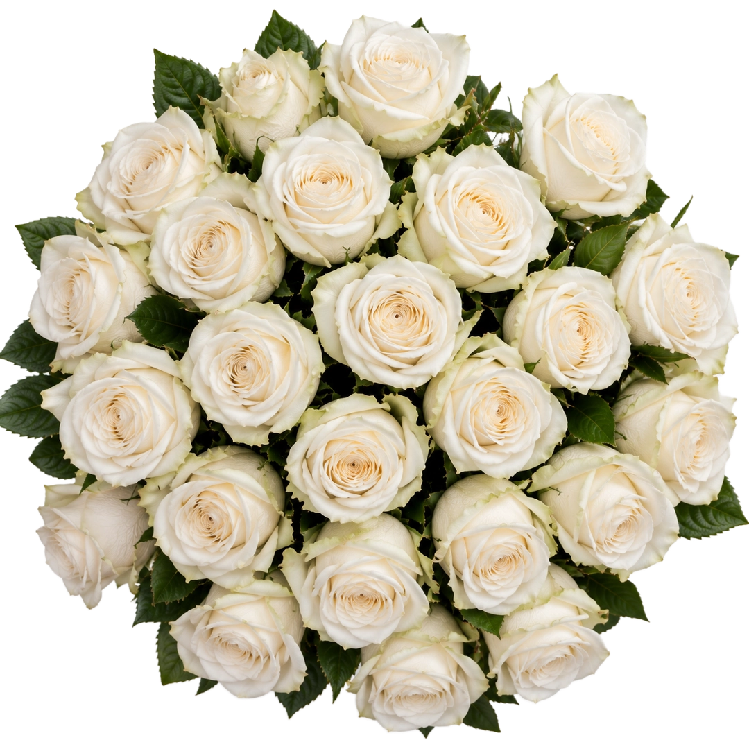 Vista cenital do Ramo Elegance de 25 rosas brancas QRoses
