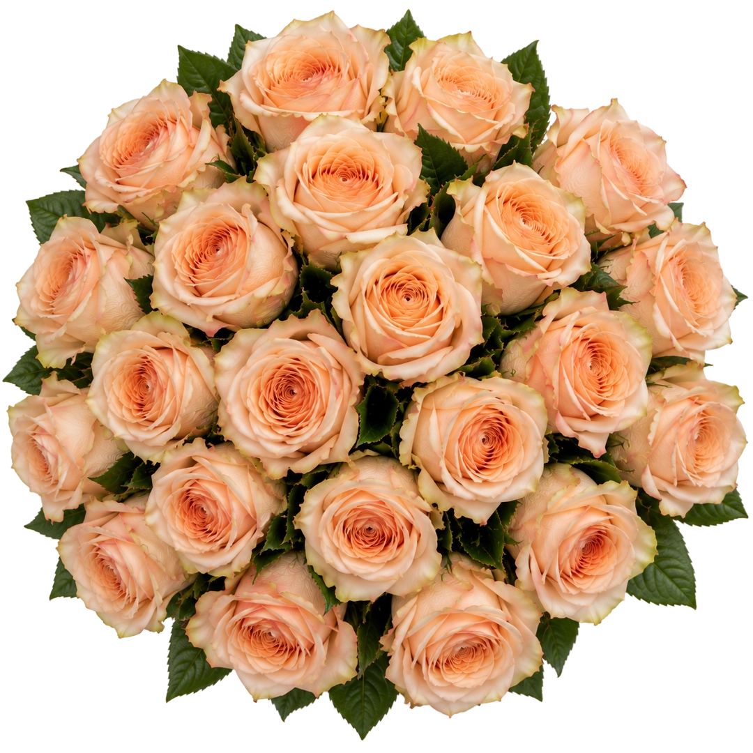 Vista cenital do Ramo Elegance de 25 rosas pêssego QRoses
