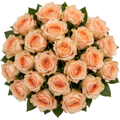 Vista cenital do Ramo Elegance de 25 rosas pêssego QRoses