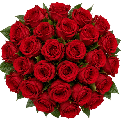 Vista cenital do Ramo Elegance de 25 rosas vermelhas QRoses