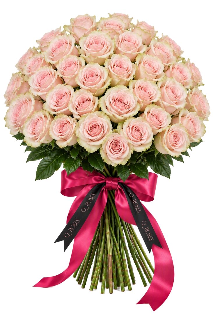 Ramo Elegance 50 com rosas cor-de-rosa premium e laço QRoses