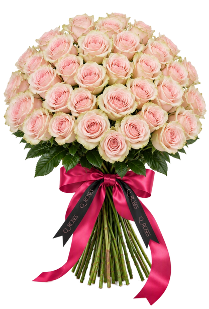Ramo Elegance 50 com rosas cor-de-rosa premium e laço QRoses