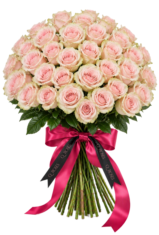 Ramo Elegance 50 com rosas cor-de-rosa premium e laço QRoses
