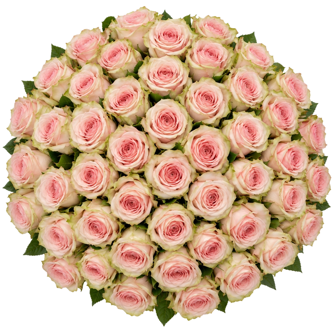 Vista de cima do Ramo Elegance 50 com 50 rosas cor-de-rosa premium