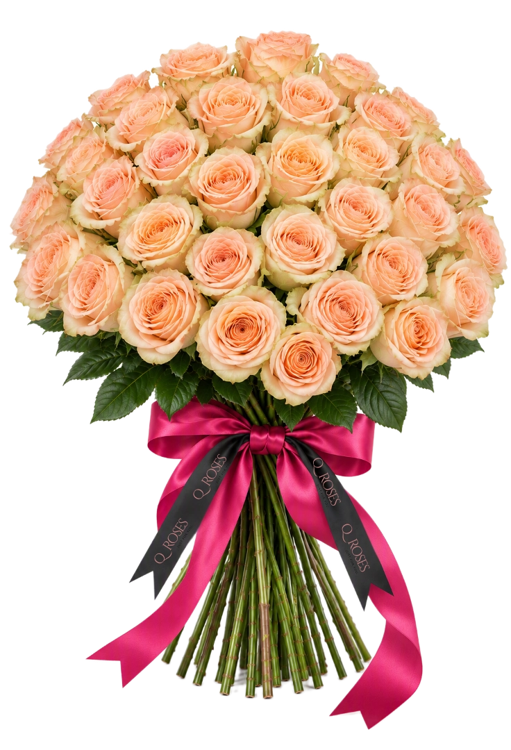 Ramo Elegance 50 com rosas pêssego premium e laço QRoses