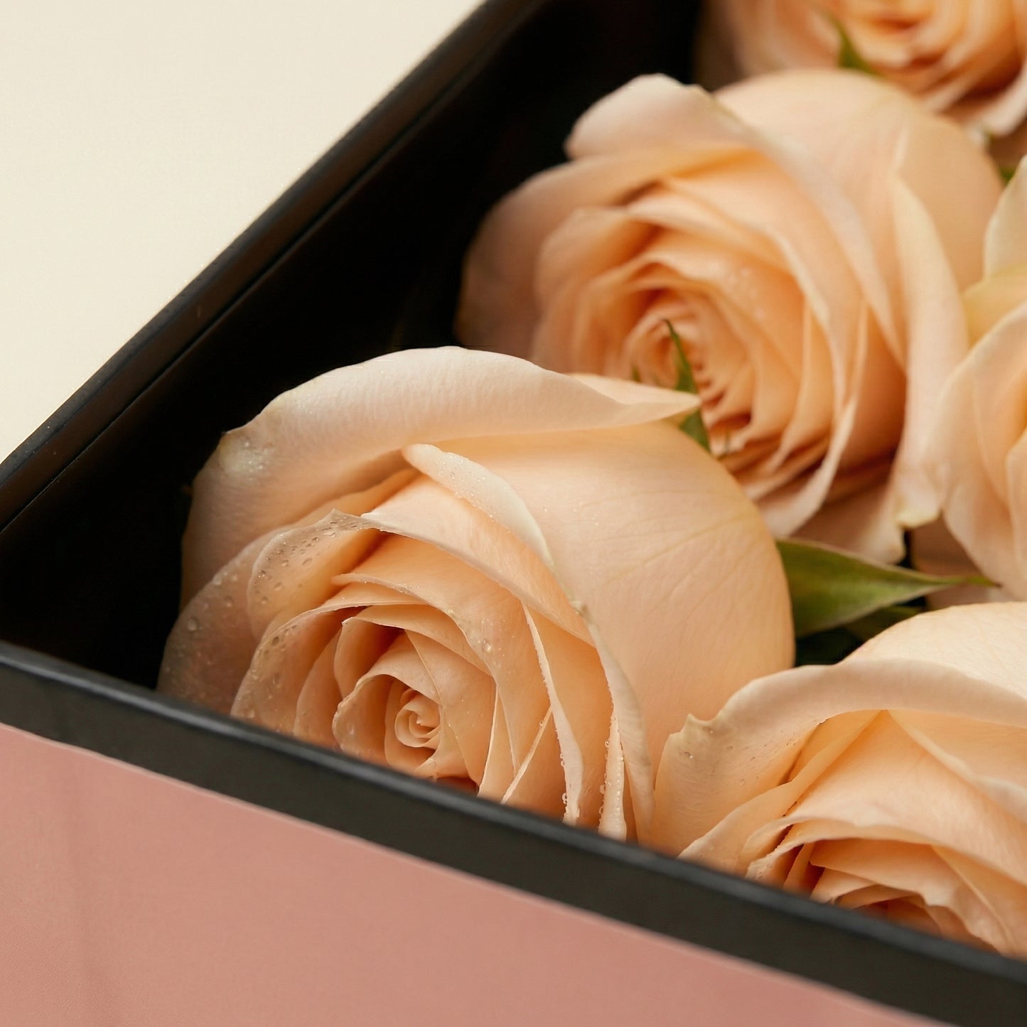 Close-up de rosas premium cor pêssego na Flute Box QRoses