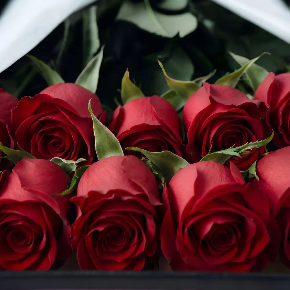 Caixa de Rosas Vermelhas